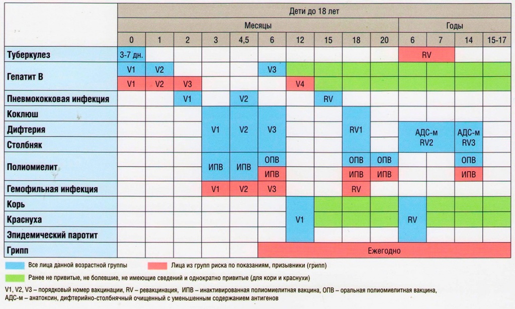 Полиомиелит график прививок россия. Календарь прививок для детей. Прививки детям по возрасту таблица. Прививки по графику прививок детям. Таблица вакцинации детей по возрасту.